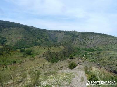 Carcavas de Alpedrete de la Sierra y Meandros del Lozoya;fines de semana;rutas por la sierra de madr